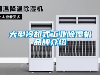 常見問題大型冷卻式工業(yè)除濕機(jī)品牌介紹