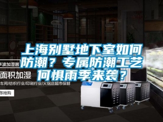 企業(yè)新聞上海別墅地下室如何防潮？專屬防潮工藝何懼雨季來襲？