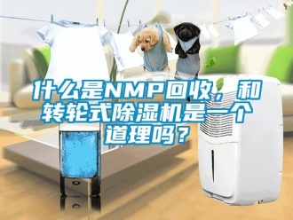 常見問題什么是NMP回收，和轉輪式除濕機是一個道理嗎？
