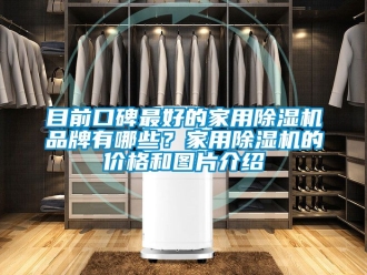 企業新聞目前口碑最好的家用除濕機品牌有哪些？家用除濕機的價格和圖片介紹