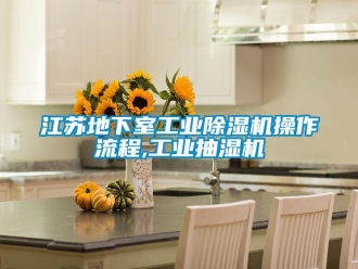 常見問題江蘇地下室工業(yè)除濕機(jī)操作流程,工業(yè)抽濕機(jī)