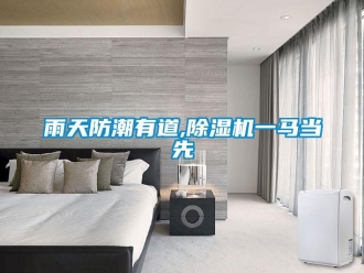 知識百科雨天防潮有道,除濕機一馬當先
