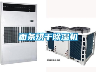 行業新聞面條烘干除濕機