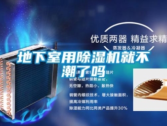 行業(yè)新聞地下室用除濕機(jī)就不潮了嗎