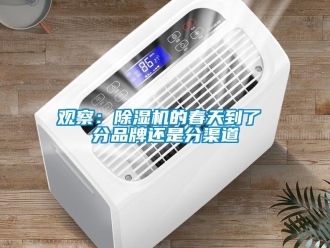 行業(yè)新聞?dòng)^察：除濕機(jī)的春天到了 分品牌還是分渠道
