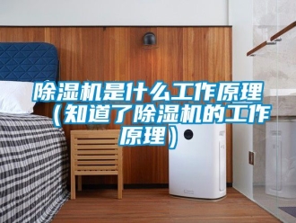 行業新聞除濕機是什么工作原理（知道了除濕機的工作原理）