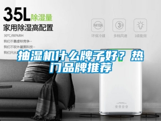 企業(yè)新聞抽濕機(jī)什么牌子好？熱門品牌推薦