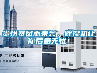 行業新聞貴州暴風雨來襲，除濕機讓你后患無憂！