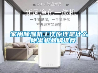 企業新聞家用除濕機工作原理是什么  除濕機品牌推薦