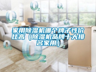 企業(yè)新聞家用除濕機哪個牌子性價比高（除濕機品牌十大排名家用）
