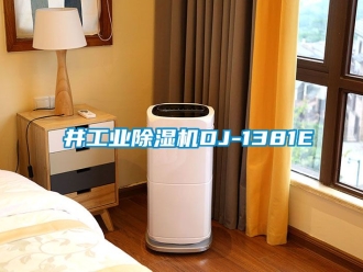 常見問題東井工業(yè)除濕機DJ-1381E