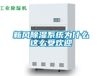 知識(shí)百科新風(fēng)除濕系統(tǒng)為什么這么受歡迎