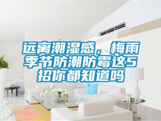 常見問題遠離潮濕感，梅雨季節防潮防霉這5招你都知道嗎