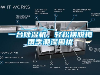 行業(yè)新聞一臺(tái)除濕機(jī)，輕松擺脫梅雨季潮濕困擾