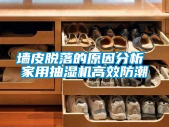 企業新聞墻皮脫落的原因分析 家用抽濕機高效防潮