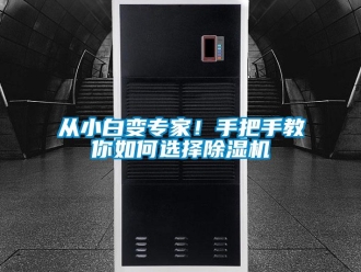 行業新聞從小白變專家！手把手教你如何選擇除濕機