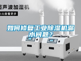 常見問題如何修復工業除濕機漏水問題？