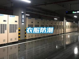 知識(shí)百科衣服防潮