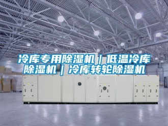 常見問題冷庫專用除濕機(jī)｜低溫冷庫除濕機(jī)｜冷庫轉(zhuǎn)輪除濕機(jī)