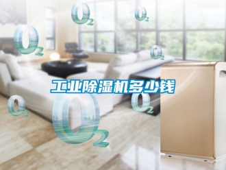 常見問題工業(yè)除濕機多少錢