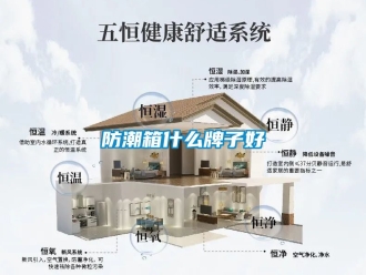 常見問題防潮箱什么牌子好