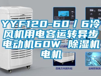 企業(yè)新聞YYF120-60／6冷風(fēng)機(jī)用電容運(yùn)轉(zhuǎn)異步電動(dòng)機(jī)60W 除濕機(jī)電機(jī)