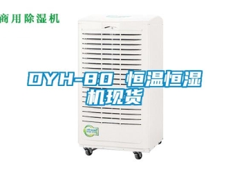 常見問題DYH-80 恒溫恒濕機現貨