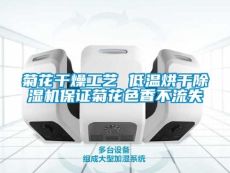 行業新聞菊花干燥工藝 低溫烘干除濕機保證菊花色香不流失