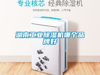 常見問題湖南工業(yè)除濕機(jī)哪個(gè)品牌好