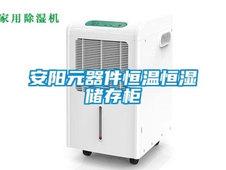 常見問題安陽元器件恒溫恒濕儲存柜