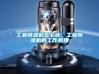 常見(jiàn)問(wèn)題工業(yè)除濕機(jī)怎么選，工業(yè)除濕機(jī)的工作原理