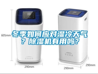 常見問題冬季如何應對濕冷天氣？除濕機有用嗎？