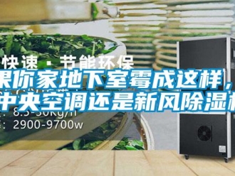 行業(yè)新聞如果你家地下室霉成這樣，選裝中央空調還是新風除濕機？