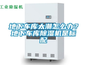 常見問題地下車庫太潮怎么辦？地下車庫除濕機(jī)是標(biāo)配
