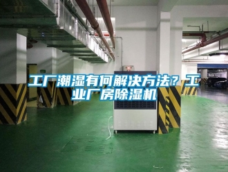 常見問題工廠潮濕有何解決方法？工業廠房除濕機