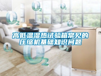 常見問題高低溫濕熱試驗箱常見的壓縮機基礎知識問題