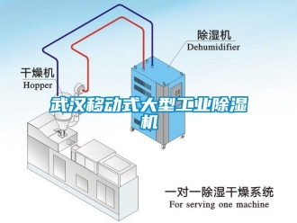 常見問題武漢移動式大型工業(yè)除濕機(jī)