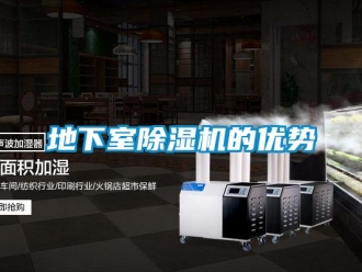 行業(yè)新聞地下室除濕機的優(yōu)勢
