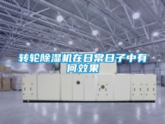 常見問題轉輪除濕機在日常日子中有何效果