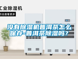 行業新聞沒有除濕機普洱茶怎么保存-普洱茶除濕嗎？