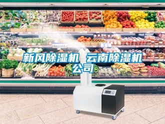 常見問題新風(fēng)除濕機(jī) 云南除濕機(jī)公司