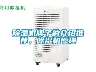 行業新聞除濕機牌子的介紹推薦，除濕機原理