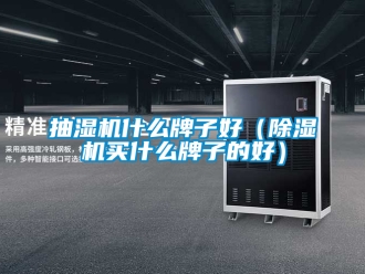企業(yè)新聞抽濕機(jī)什么牌子好（除濕機(jī)買什么牌子的好）