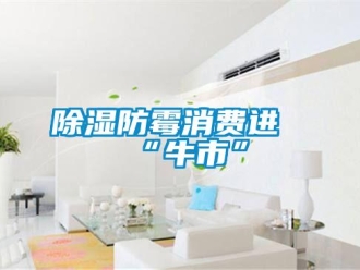 常見問題除濕防霉消費進“牛市”