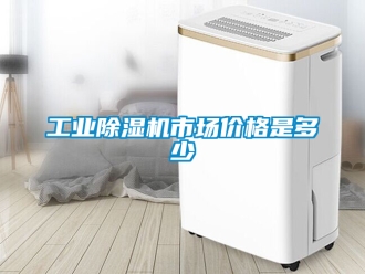 常見(jiàn)問(wèn)題工業(yè)除濕機(jī)市場(chǎng)價(jià)格是多少