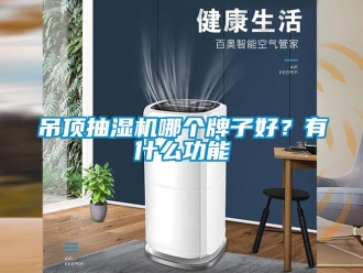 企業新聞吊頂抽濕機哪個牌子好？有什么功能