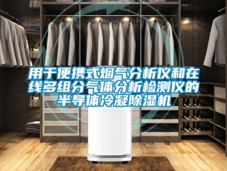 行業新聞用于便攜式煙氣分析儀和在線多組分氣體分析檢測儀的半導體冷凝除濕機