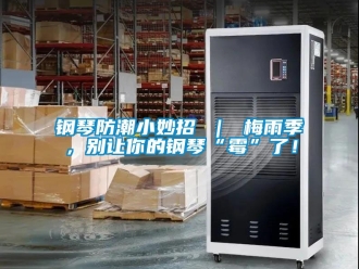 常見問題鋼琴防潮小妙招 ｜ 梅雨季，別讓你的鋼琴“霉”了！