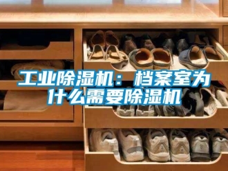 常見問題工業除濕機：檔案室為什么需要除濕機