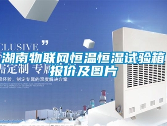知識百科湖南物聯(lián)網(wǎng)恒溫恒濕試驗箱報價及圖片